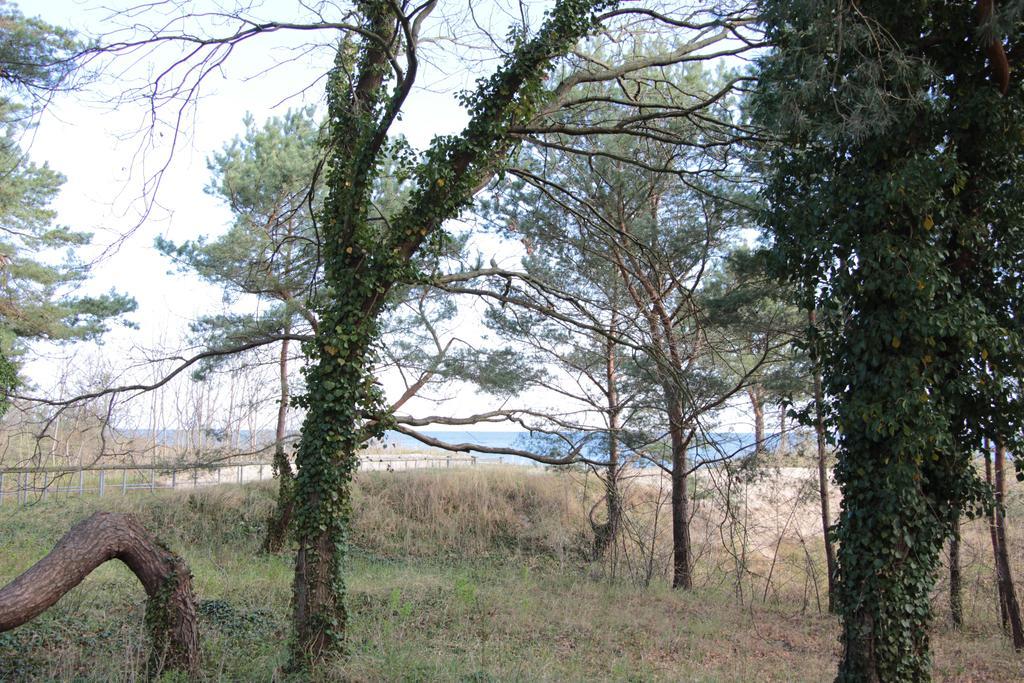 Gasthof Auf Der Düne Ostseebad Heringsdorf