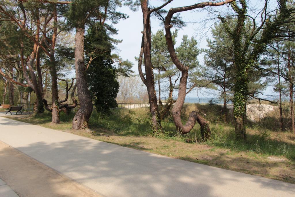 Auf Der Düne Ostseebad Heringsdorf